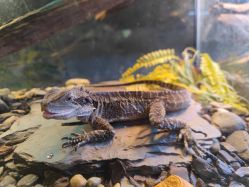 -Zoolung Zoolung动物主题公园(海信广场店)