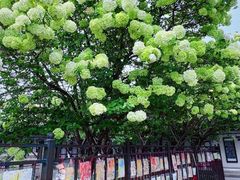 -常熟方塔园