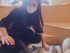 -Husky Go! 哈士奇体验馆·宠物咖啡厅狗咖