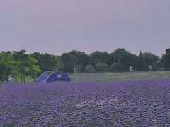 -上海杨姆庄园