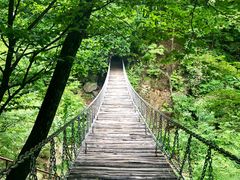 -龙道沟景区