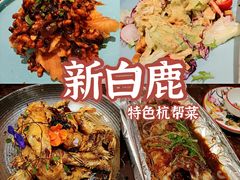 -新白鹿餐厅(爱琴海购物中心店)