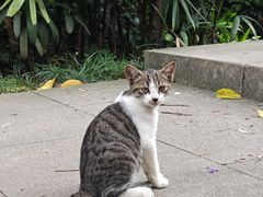 -广州兰圃