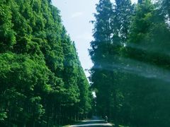 -新江湾城公园