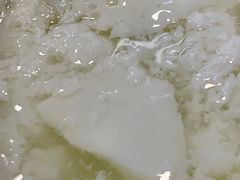 双皮奶-义顺牛奶公司