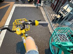 -西湖游船