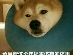 -蒋六十八梯眼镜面(渝中店)