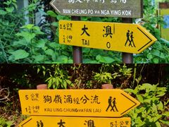 -大澳