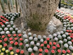 -南山植物园