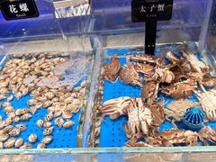 -加餐海鲜自助(宝龙一城店)