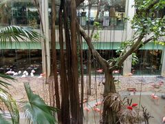 -麒麟中餐厅·经典粤菜·地道菜式老字号(广州长隆酒店)