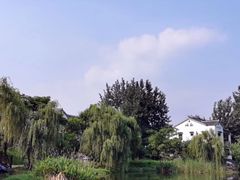 -大塘金香草谷