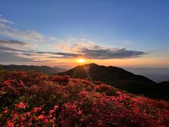 -大围山国家森林公园