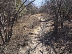 -北京十三陵国家森林公园蟒山景区