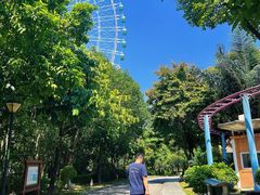 -凤岭儿童公园