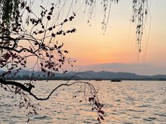 -柳莺湖上·湖景餐厅·江南菜(西湖店)