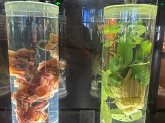 -广东中医药博物馆