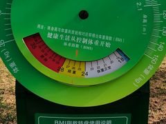-五环公园