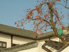 -北寺塔