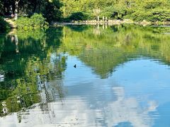 -贵阳市花溪国家城市湿地公园