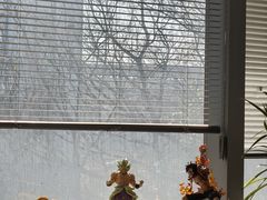 -HONGA HONGA雄家(曹路店)