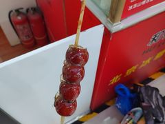 -和禄德冰糖葫芦