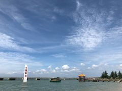 -东郊椰林