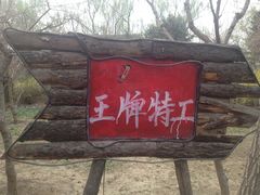 -枫花园汽车电影院(朝阳公园店)