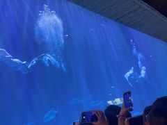 -华夏文旅西安度假区