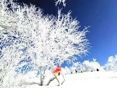-雪谷