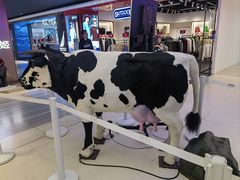 -红星前进面包牛奶公司(君太店)