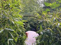 -山城巷传统风貌区