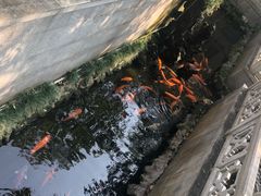 -佛山顺德香云纱园林酒店(清晖园店)