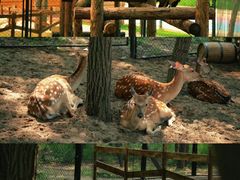 -南戴河国际娱乐中心