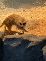 -Zoolung Zoolung动物主题公园(海信广场店)