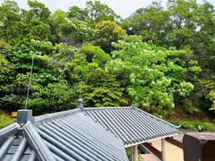 -火炉山森林公园