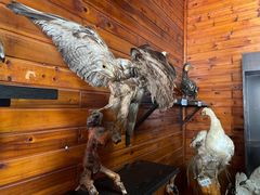 -南京金牛湖风景区