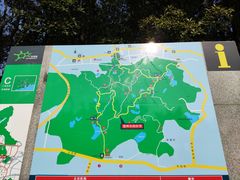 -火炉山森林公园