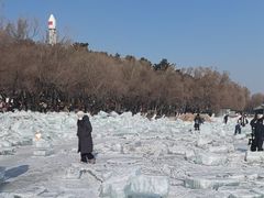 -长春市南湖公园