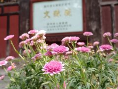 -成都市文殊院