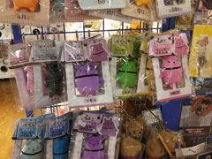 -Animate(工人体育场东路店)