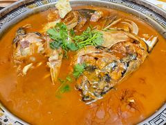 -邵年鸽(杨庄店)