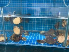 -宾朋海鲜特色美食餐厅·纯手工鲅鱼水饺(兴海路店)