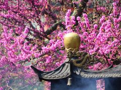 -西安市广仁寺