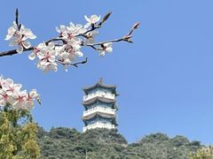 -北京十三陵国家森林公园蟒山景区