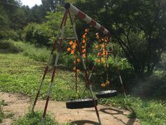 -玉泉威虎山森林公园
