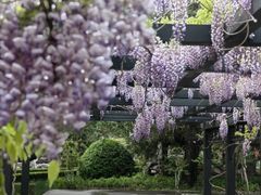 -北京市劳动人民文化宫(太庙)