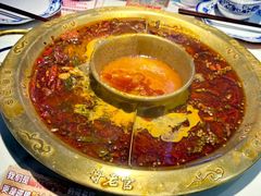 -哥老官重庆美蛙鱼头(日月光店)