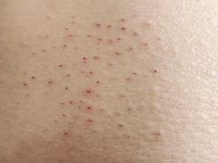 -美林大浴场(奥体中心店)