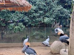 -宁波野生动物园